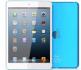 � ���� ������ �������������� iPad mini 2