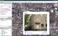Google Earth Free скриншот № 3