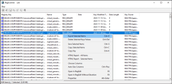 RegScanner screenshot # 1
