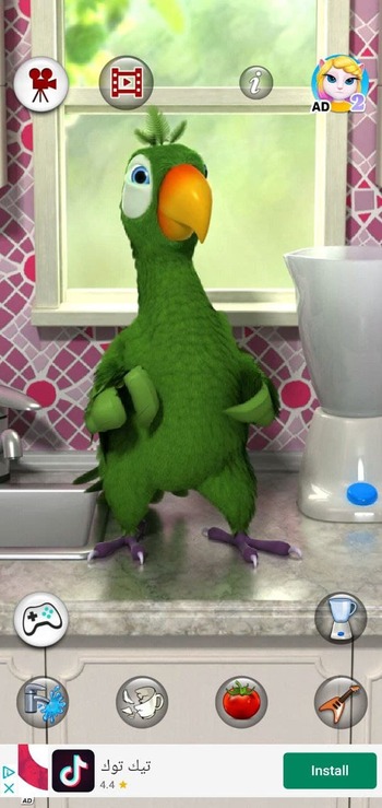 Talking Pierre the Parrot screenshot # 1