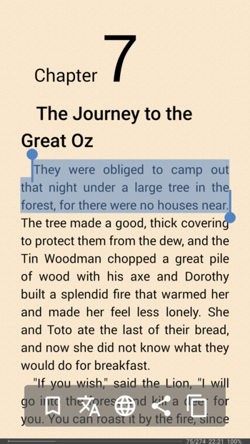 FBReader screenshot # 1