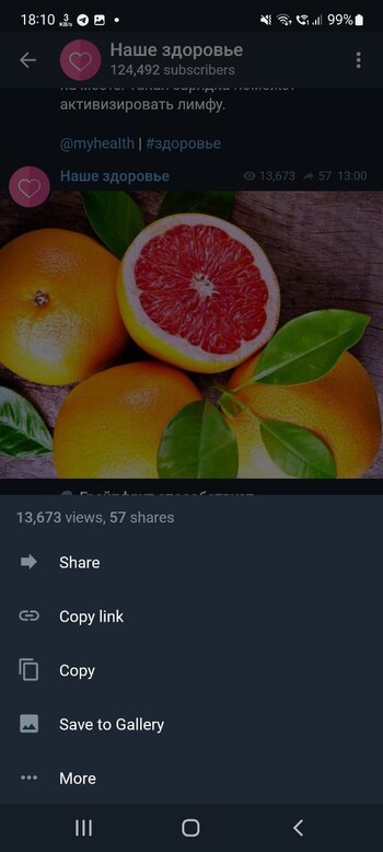 Telegram X screenshot # 1