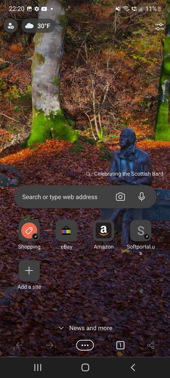 Microsoft Edge screenshot # 1