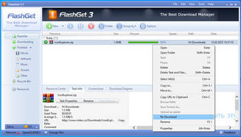 FlashGet screenshot # 1