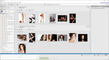 Picasa screenshot # 1