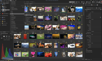ACDSee screenshot # 1