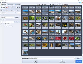 AVS Image Converter screenshot # 1