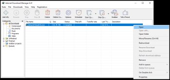 Internet Download Manager screenshot # 1