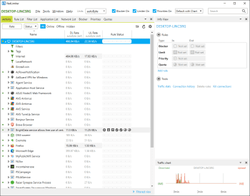 NetLimiter Pro screenshot # 1