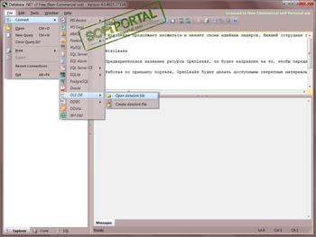 Database .NET скриншот № 1