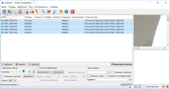 Caesium скриншот № 1