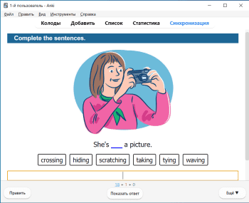 Anki скриншот № 1