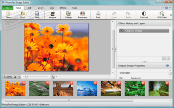 NCH PhotoPad Image Editor 11.76 download the last version for windows