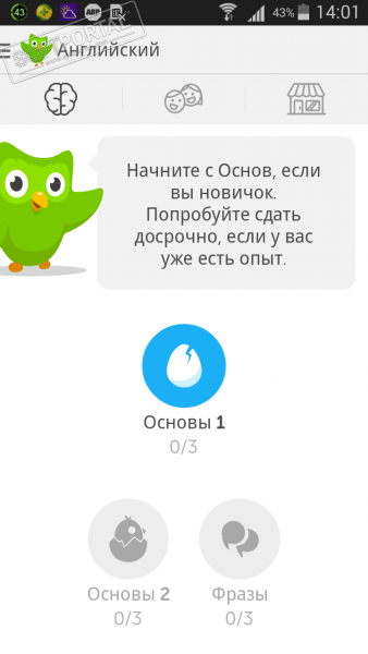 Duolingo программа для компьютера