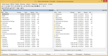 Altap Salamander скриншот № 1