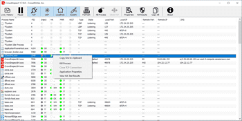 CrowdInspect скриншот № 1