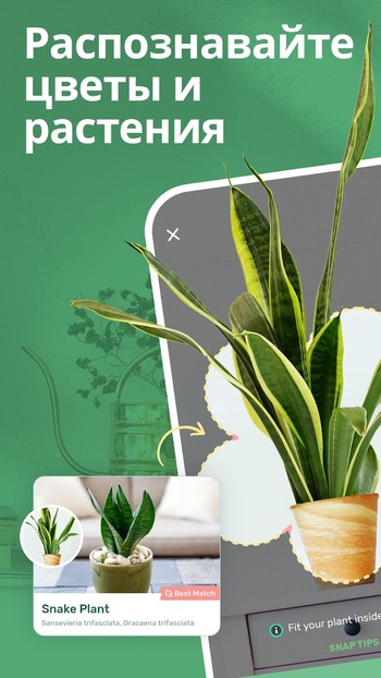 Blossom скриншот № 1