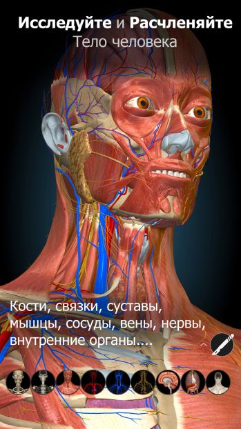 Anatomy Learning 2.1.374 (Android)