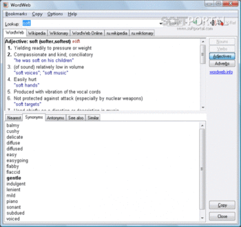 WordWeb Pro 10.34 instal the last version for android